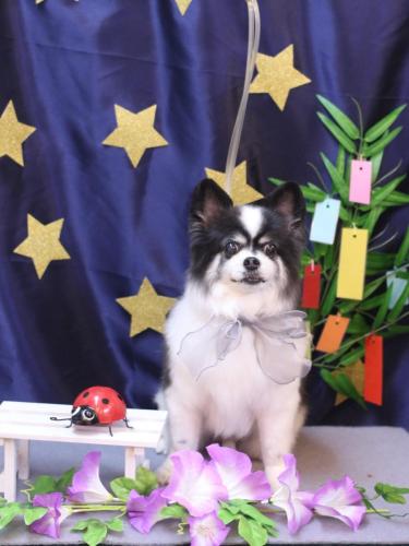 20230701レオくん